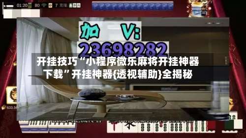 开挂技巧“小程序微乐麻将开挂神器下载”开挂神器{透视辅助}全揭秘-第2张图片