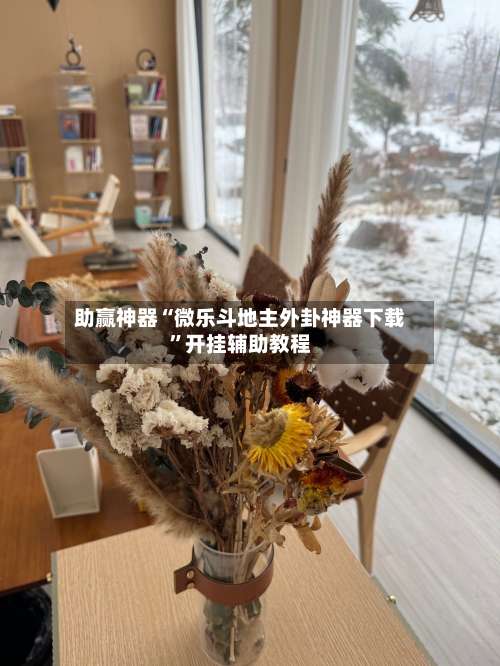 助赢神器“微乐斗地主外卦神器下载”开挂辅助教程-第3张图片