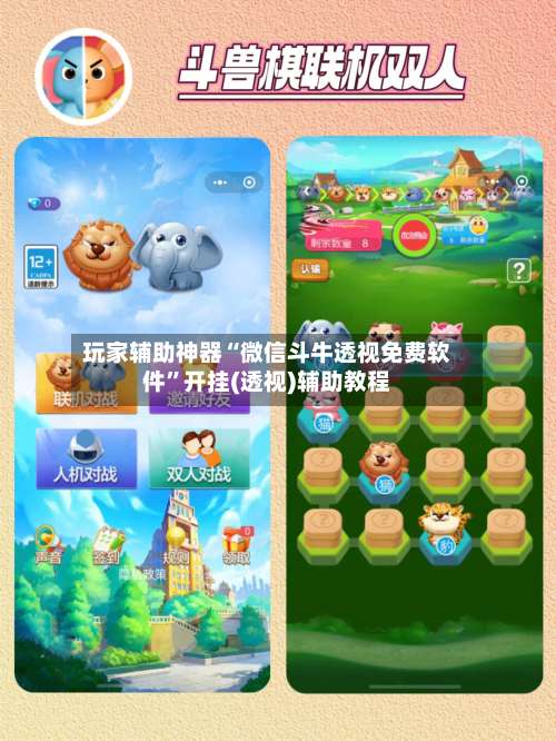 玩家辅助神器“微信斗牛透视免费软件”开挂(透视)辅助教程-第3张图片