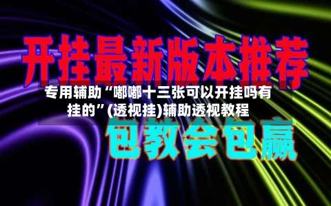 专用辅助“嘟嘟十三张可以开挂吗有挂的	”(透视挂)辅助透视教程-第2张图片