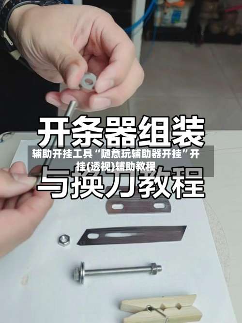 辅助开挂工具“随意玩辅助器开挂”开挂(透视)辅助教程-第2张图片