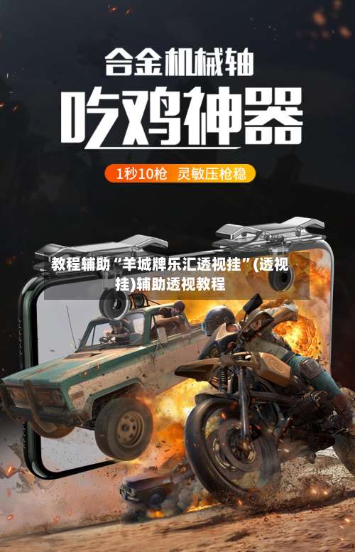 教程辅助“羊城牌乐汇透视挂”(透视挂)辅助透视教程-第3张图片