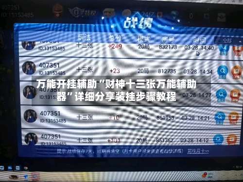 万能开挂辅助“财神十三张万能辅助器”详细分享装挂步骤教程-第2张图片