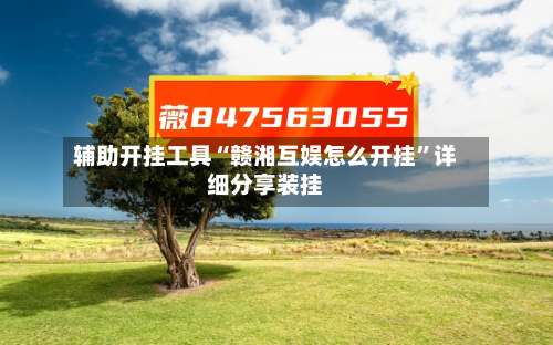 辅助开挂工具“赣湘互娱怎么开挂”详细分享装挂-第2张图片