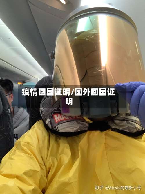 疫情回国证明/国外回国证明-第2张图片