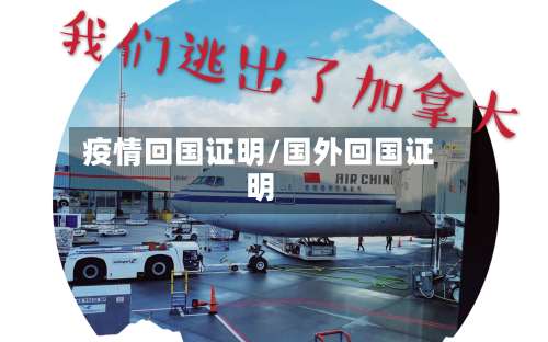 疫情回国证明/国外回国证明-第3张图片