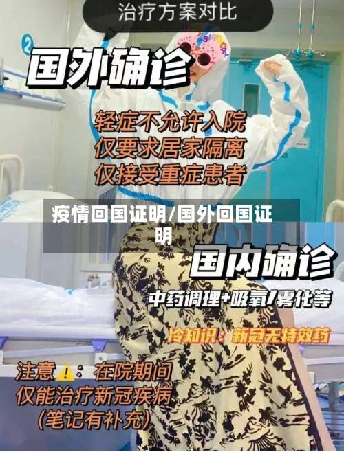 疫情回国证明/国外回国证明