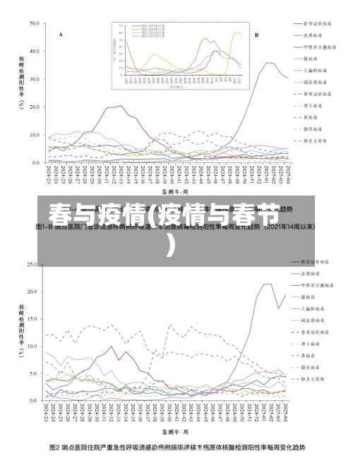 春与疫情(疫情与春节)-第3张图片