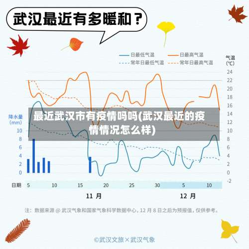 最近武汉市有疫情吗吗(武汉最近的疫情情况怎么样)