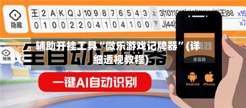 辅助开挂工具“微乐游戏记牌器	”(详细透视教程)-第2张图片