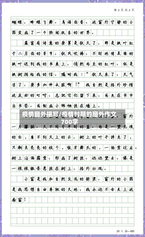 疫情窗外描写/疫情时期的窗外作文700字