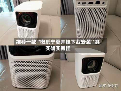 推荐一款“微乐宁夏开挂下载安装”其实确实有挂-第2张图片