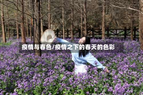 疫情与春色/疫情之下的春天的色彩
