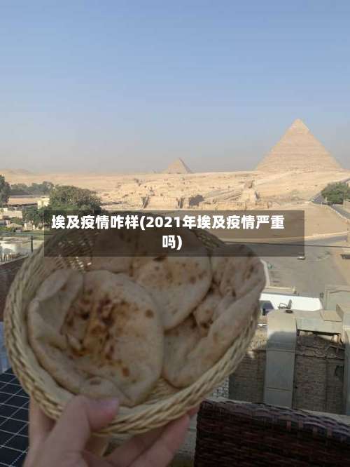 埃及疫情咋样(2021年埃及疫情严重吗)-第2张图片