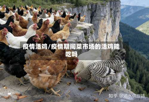 疫情活鸡/疫情期间菜市场的活鸡能吃吗