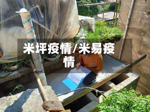 米坪疫情/米易疫情