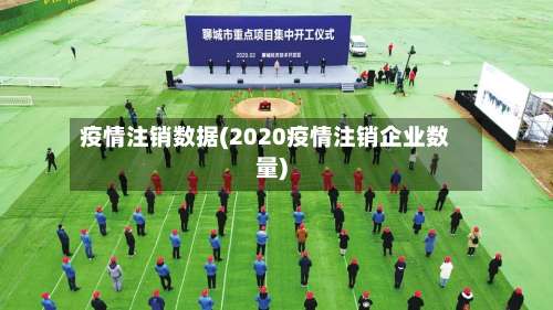 疫情注销数据(2020疫情注销企业数量)-第2张图片