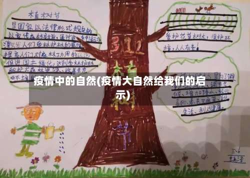 疫情中的自然(疫情大自然给我们的启示)