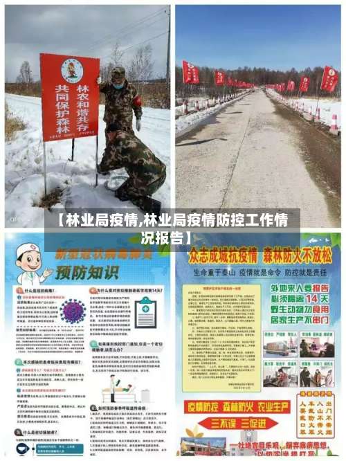 【林业局疫情,林业局疫情防控工作情况报告】