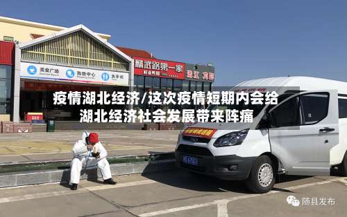 疫情湖北经济/这次疫情短期内会给湖北经济社会发展带来阵痛-第2张图片