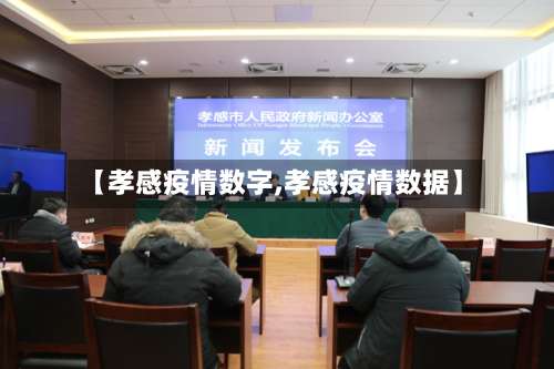 【孝感疫情数字,孝感疫情数据】