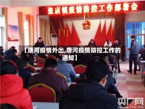 【唐河疫情外出,唐河疫情防控工作的通知】-第3张图片
