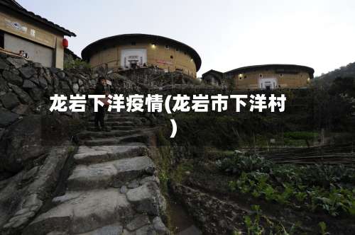 龙岩下洋疫情(龙岩市下洋村)-第2张图片