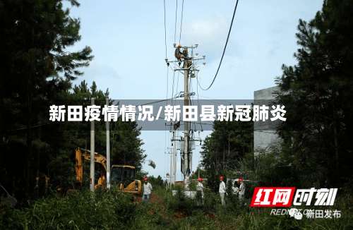 新田疫情情况/新田县新冠肺炎-第3张图片