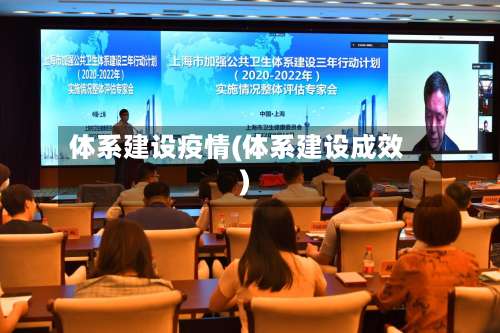 体系建设疫情(体系建设成效)-第2张图片