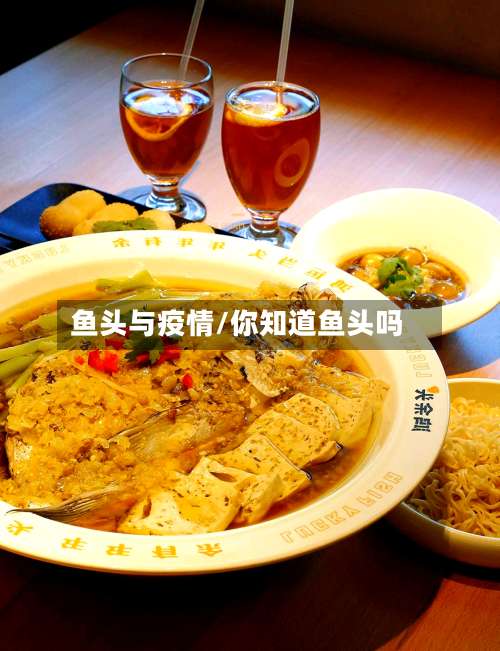 鱼头与疫情/你知道鱼头吗
