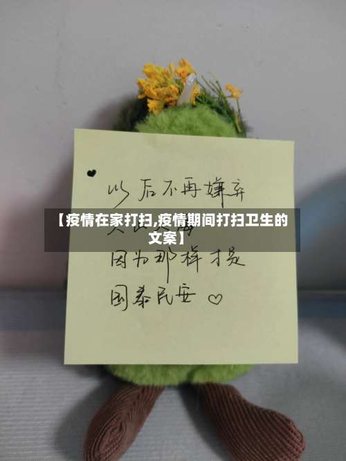 【疫情在家打扫,疫情期间打扫卫生的文案】-第2张图片