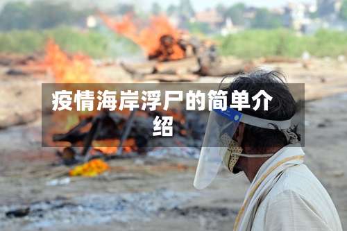 疫情海岸浮尸的简单介绍