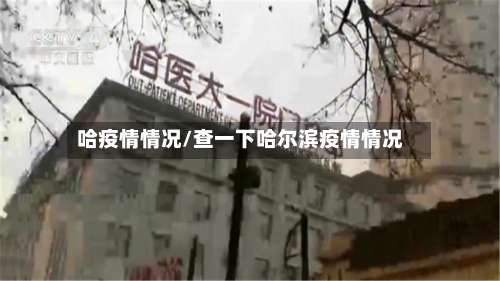 哈疫情情况/查一下哈尔滨疫情情况