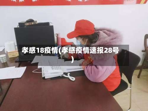 孝感18疫情(孝感疫情速报28号)-第2张图片