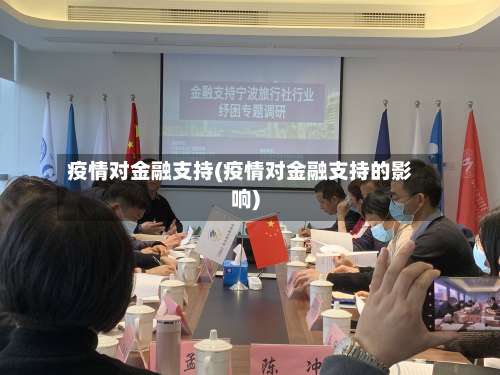 疫情对金融支持(疫情对金融支持的影响)