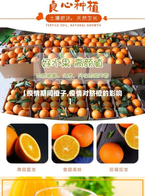【疫情期间橙子,疫情对脐橙的影响】-第2张图片