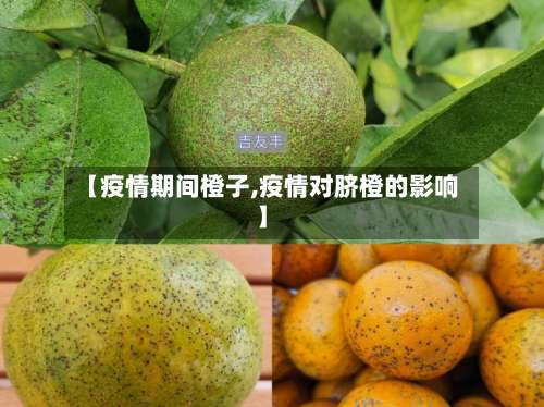 【疫情期间橙子,疫情对脐橙的影响】