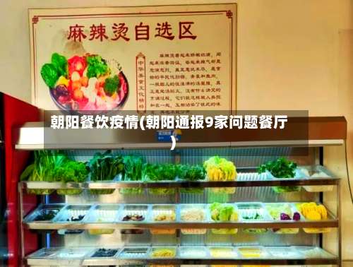朝阳餐饮疫情(朝阳通报9家问题餐厅)