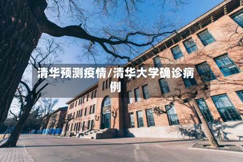 清华预测疫情/清华大学确诊病例-第3张图片