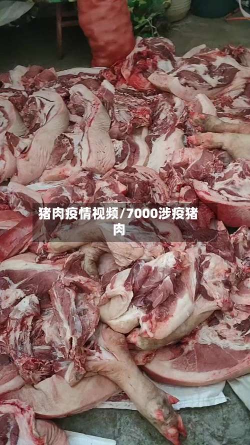 猪肉疫情视频/7000涉疫猪肉