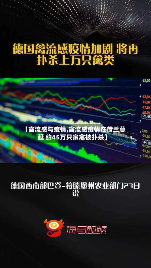 【禽流感与疫情,禽流感疫情在荷兰蔓延 约45万只家禽被扑杀】-第2张图片