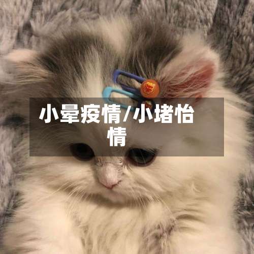 小晕疫情/小堵怡情-第2张图片