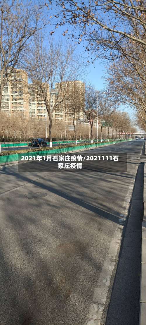2021年1月石家庄疫情/2021111石家庄疫情-第2张图片