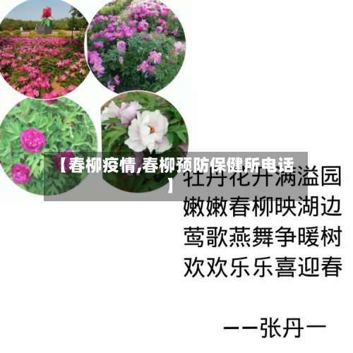 【春柳疫情,春柳预防保健所电话】-第3张图片