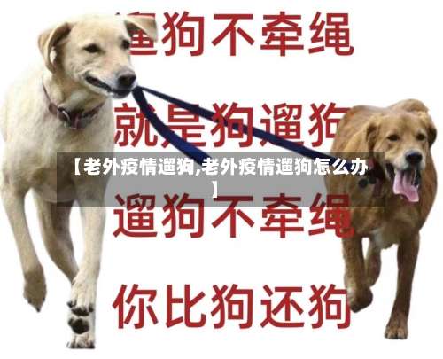 【老外疫情遛狗,老外疫情遛狗怎么办】