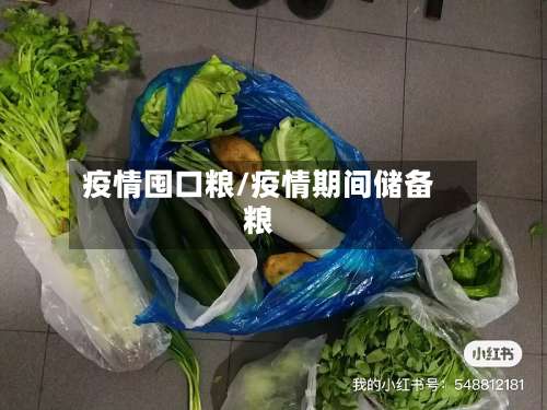 疫情囤口粮/疫情期间储备粮-第2张图片