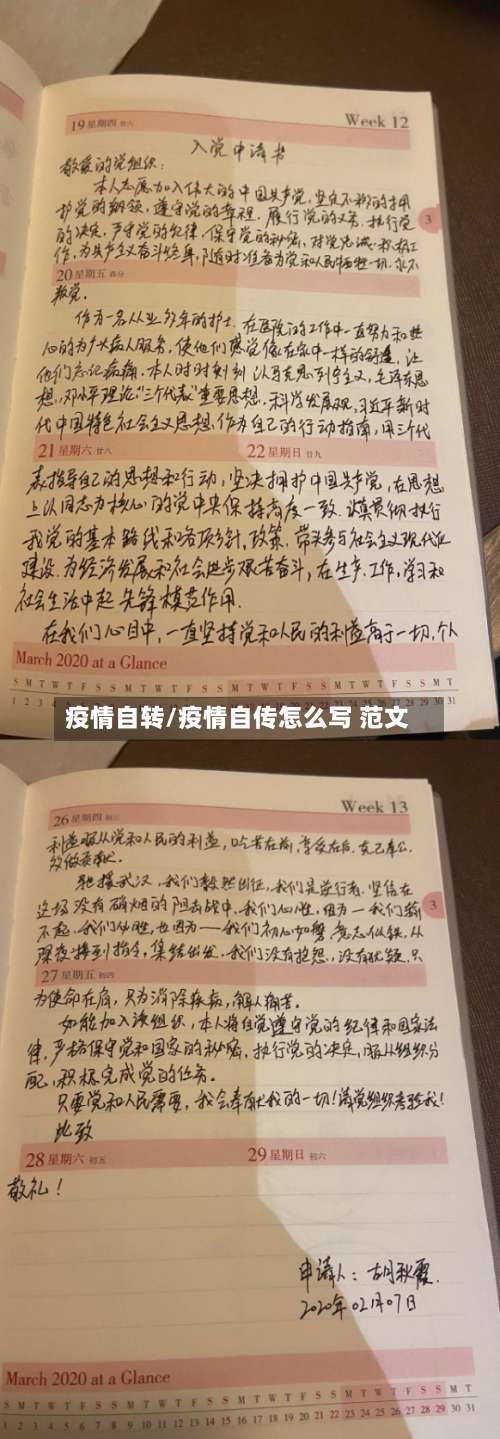 疫情自转/疫情自传怎么写 范文-第3张图片