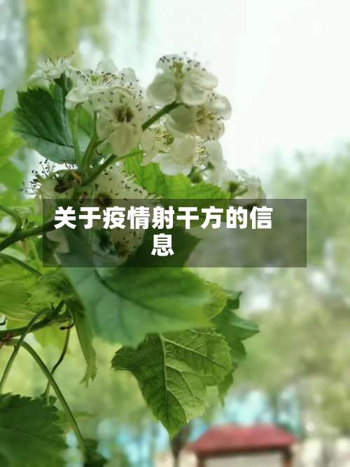 关于疫情射干方的信息