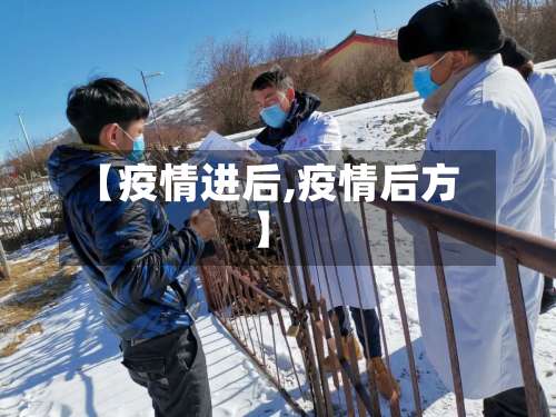 【疫情进后,疫情后方】-第2张图片