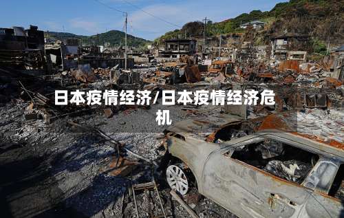日本疫情经济/日本疫情经济危机-第3张图片
